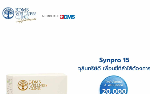 Synpro 15