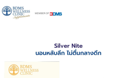 Silver Nite (ซิลเวอร์ ไนท์)