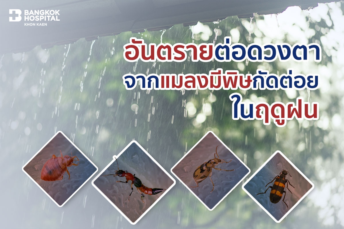 แมลงมีพิษกัดต่อยในฤดูฝน