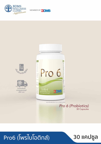 Pro6