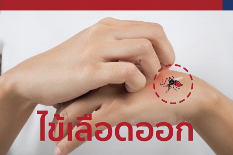 อาการแสดงของโรคไข้เลือดออก
